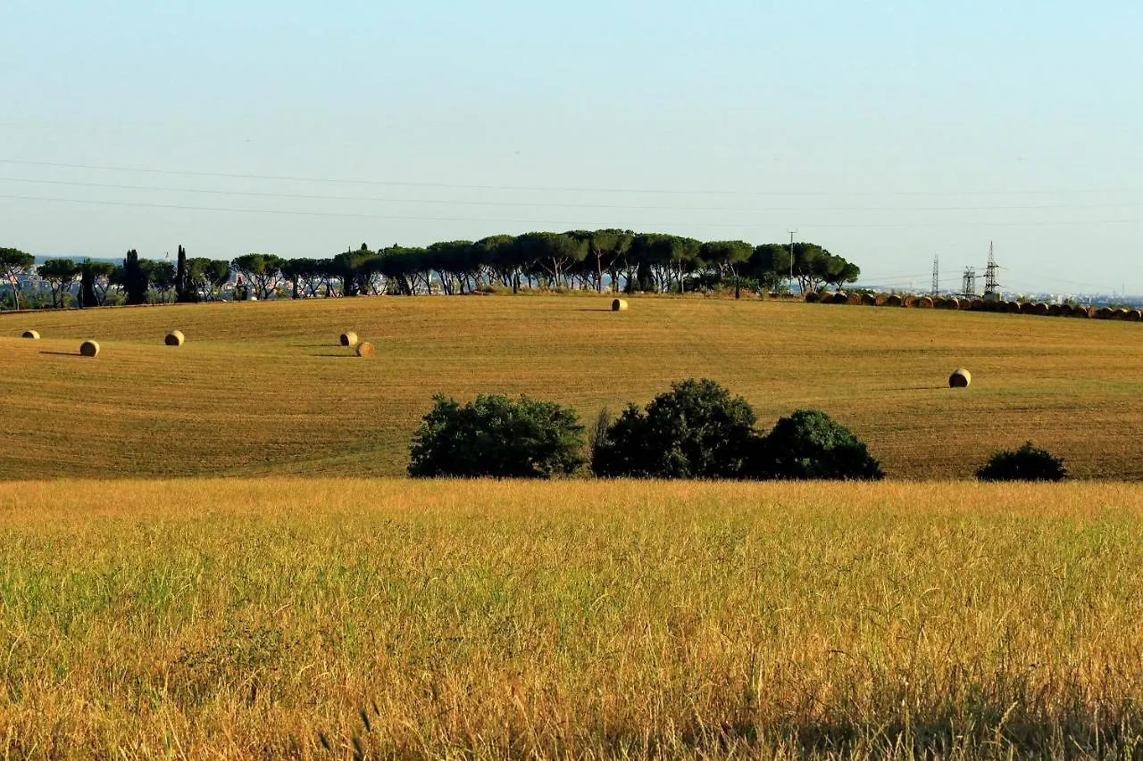 L'Oasi Di Baal Βίλα Ρώμη